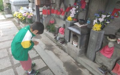 11/8(土)　平野郷レトロ＆人情巡り