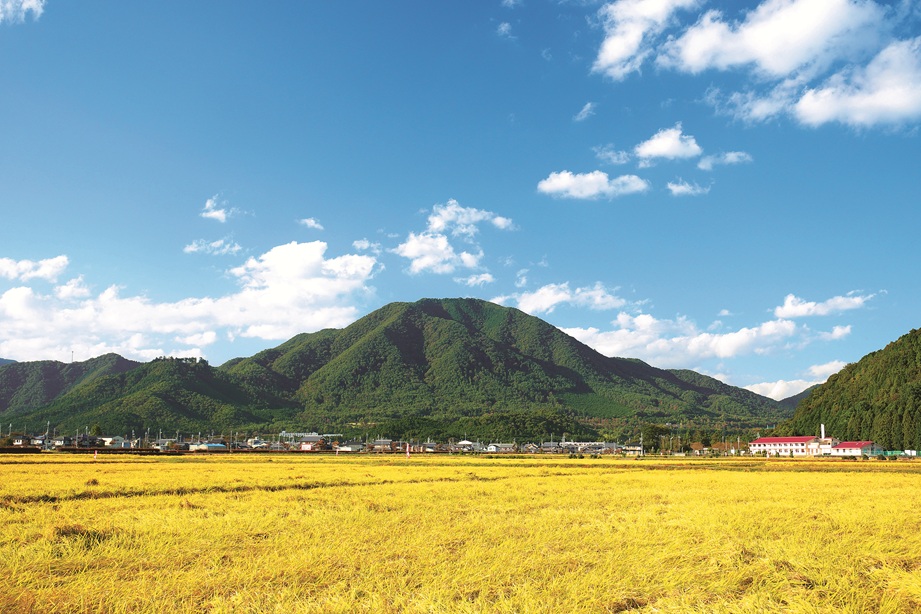 10／13（祝月）廃線跡ウオークと和紙漉き体験＆ うま味たっぷり播州百日どり